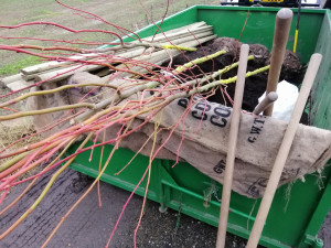 V Táboře vysadili na podzim přes šedesát stromů. V Husově parku vznikly nové záhony