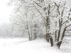 Na jihu Čech v úterý může napadnout až 10 centimetrů sněhu
