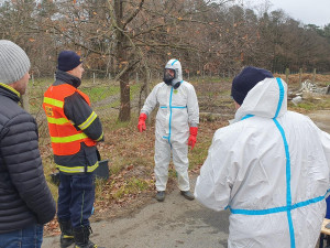 Hasiči ze tří okresů, dezinfekce hal a ochranné obleky. Veterináři utratili 15 tisíc kachen