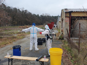 Hasiči ze tří okresů, dezinfekce hal a ochranné obleky. Veterináři utratili 15 tisíc kachen