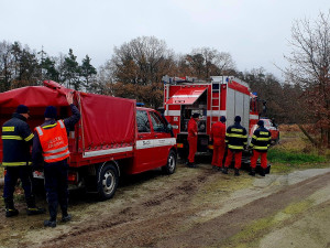 Hasiči ze tří okresů, dezinfekce hal a ochranné obleky. Veterináři utratili 15 tisíc kachen