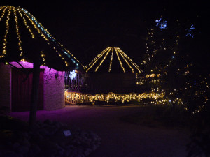 Zoo Hluboká se rozsvítí již v pátek 9. prosince