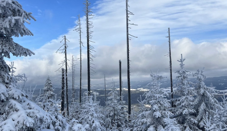 Na řadě míst na Šumavě nad ránem klesla teplota k minus 25 stupňům Celsia