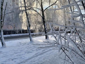 Sídliště Máj v Českých Budějovicích.