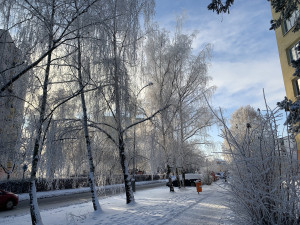 Sídliště Máj v Českých Budějovicích.