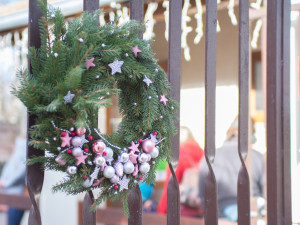 Štědrý den v Zoo Hluboká. Soutěžte o rodinnou vstupenku a krmení lemurů