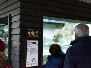 Štědrý den v Zoo Hluboká. Soutěžte o rodinnou vstupenku a krmení lemurů