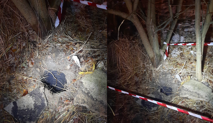 Dvouměsíční štěně uvízlo v rouře s vodou. Vytáhnout ho museli policisté spolu s hasiči