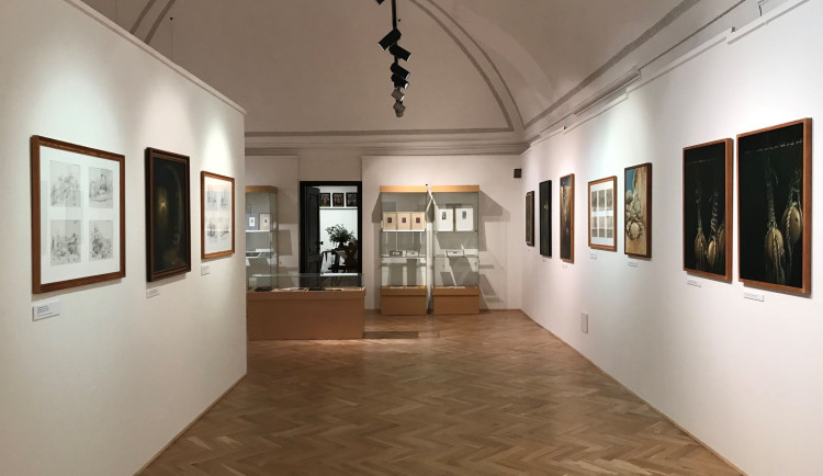 Restaurátorka Věra Šlechtová vystavuje v Regionálním muzeu v Českém Krumlově