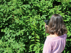 Na Pedagogické fakultě Jihočeské univerzity vznikly nové vzdělávací metodiky