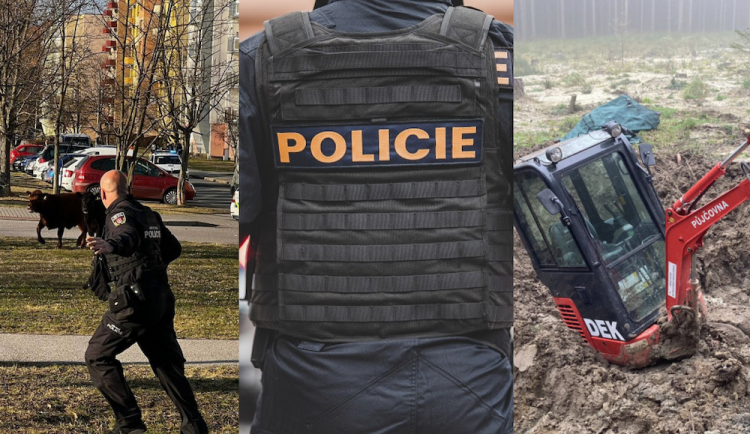 Bizarní příběhy policistů. Krávy v ulicích, náruživá partnerka a bagr v bahně