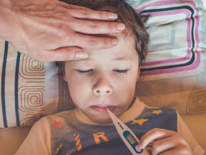 V jižních Čechách pokračuje epidemie akutních respiračních infekcí