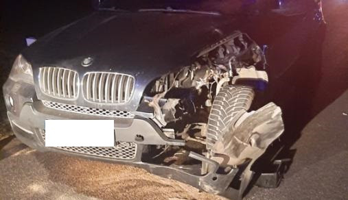 Žena krátce po půlnoci srazila pštrosa, zvíře na místě zemřelo