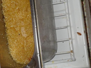 Restaurace Met zůstává po kontrole inspekce uzavřena. Čekáme na další kontrolu, říkají provozovatelé