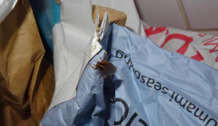 Restaurace Met zůstává po kontrole inspekce uzavřena. Čekáme na další kontrolu, říkají provozovatelé.