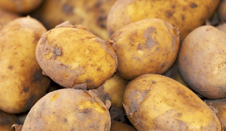 potato-g8a1b1b782_1280