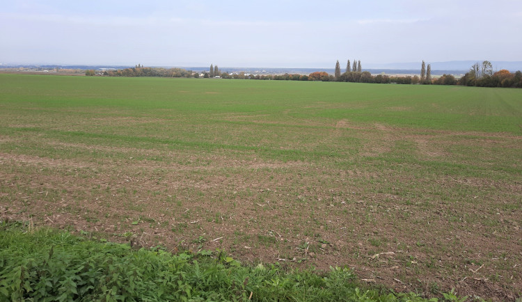 Trasu západního obchvatu Olomouce prozkoumají pyrotechnici. Mohla by tam být nevybuchlá munice