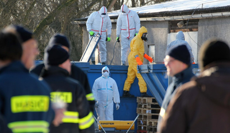 Jihočeští veterináři dali kvůli ptačí chřipce desítku výjimek pro přesun drůbeže