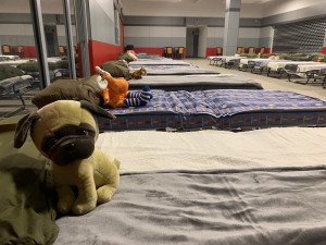 Krajské asistenční centrum se stěhuje z letiště. Nově bude na Pražské třídě