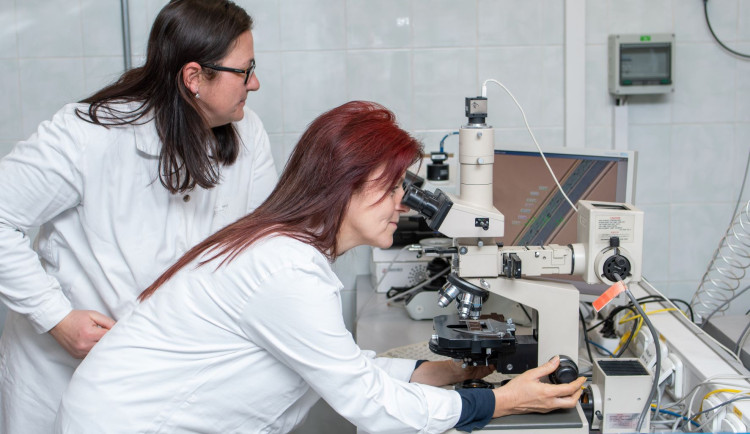 Zvýšení mezd o 10 procent, inflační bonus i bonus za překročení obratu. Viscofan CZ podrží své zaměstnance v nejisté době