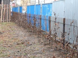 Park Dukelská se otevře v květnu. Bez herních prvků