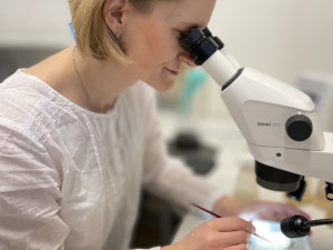 Přírodovědecká fakulta Jihočeské univerzity získala prestižní mezinárodní grant EMBO