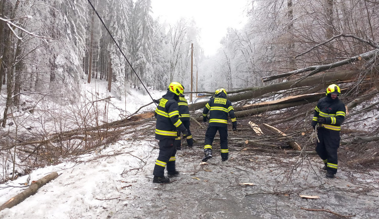 Kalamita na Javornicku. Kvůli námraze padají stromy, cesty jsou zavřené, elektřinu dodávají generátory