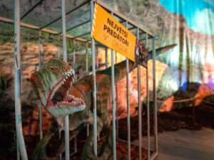 Dinosauři se v roce 2023 vrací do Českých Budějc