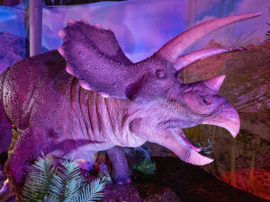 Dinosauři se v roce 2023 vrací do Českých Budějc