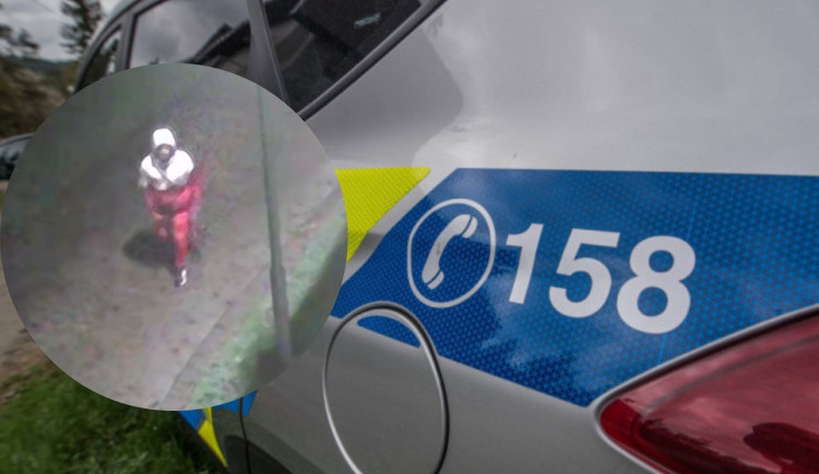 Tmavší pleť a východoevropský přízvuk. V Brně hledají lupiče, který zmlátil chodce