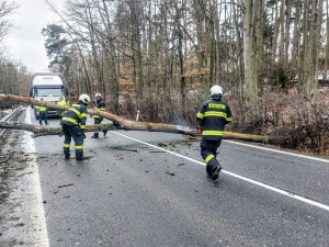 Jihočeský kraj zasáhne silný vítr, varovali meteorologové
