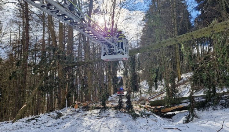 FOTOGALERIE: Hasiči řešili přes 150 zásahů kvůli větru. Nejvíc na Šumpersku a Jesenicku