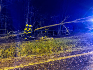 Jihočeský kraj zasáhl silný vítr. Tisíce domácností jsou bez proudu