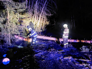 Jihočeský kraj zasáhl silný vítr. Tisíce domácností jsou bez proudu