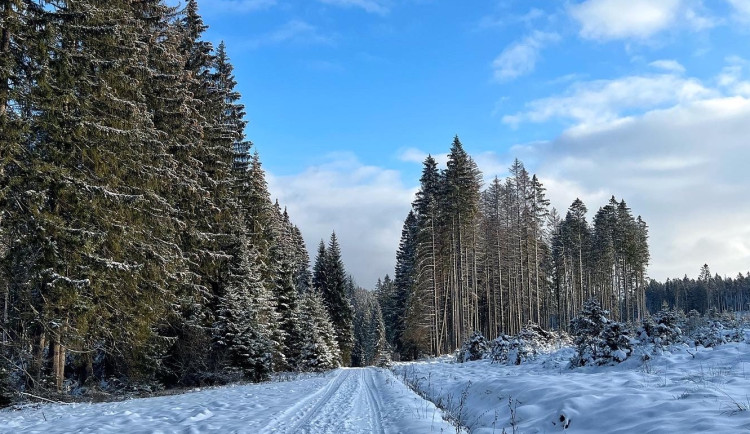 Česko čeká slunečný týden, v noci může být až minus 15 stupňů