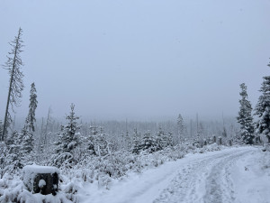 U šumavské Kvildy na Prachaticku meteorologové naměřili ráno minus 29 stupňů