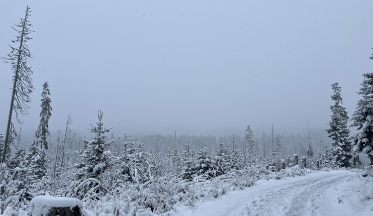 U šumavské Kvildy na Prachaticku meteorologové naměřili ráno minus 29 stupňů