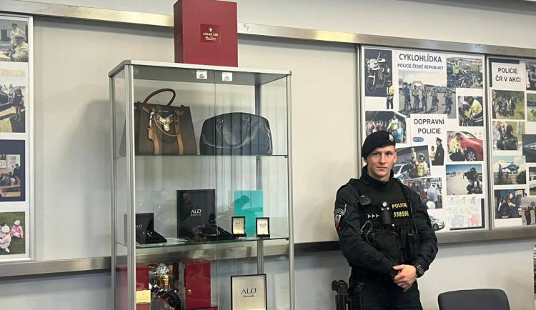 Účetní připravila firmy o 200 milionů korun. Nakupovala diamanty, kabelky a luxusní auta