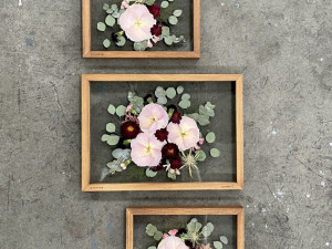 Veronika s Petrem vyrábí unikátní obrazy z lisovaných květin, díla dělají radost jako dárky i vzpomínka na svatbu