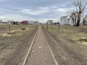 Z pozemků univerzity zmizela stará topolová alej. Stromy byly nebezpečné, odůvodňuje krok vedení univerzity