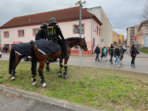 Do Budějc vyrazili fanoušci fotbalové Bohemky. Na pořádek dohlížejí desítky policistů, vrtulník i hlídka na koních