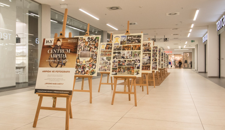 Arpida slaví 30 let. Připomíná si je výstavou v IGY Centru