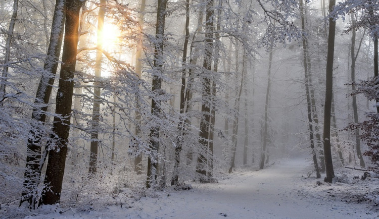 V závěru týdne se výrazně ochladí, teploty spadnou k nule a bude sněžit