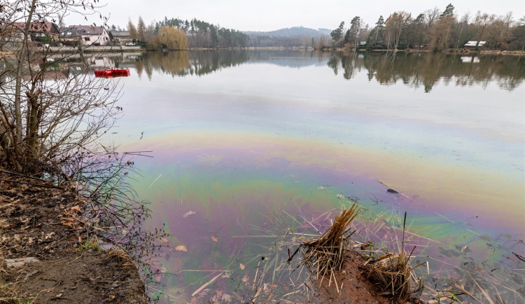 Na hladině Pávovského rybníka se objevila ropná skvrna, k úhynu ryb nedošlo