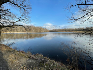Krajští zastupitelé schválili obnovu Vávrovských rybníků. Jejich současný stav je ostuda, shodují se