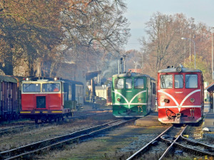 O koupi zadlužené firmy Jindřichohradecké místní dráhy mají zájem polská firma a Gepard Express