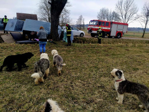 Problémová pejskařka havarovala na jihu Čech. Čtrnáct psů se rozuteklo do luk, jeden po nehodě zahynul