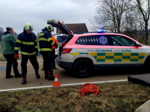 Problémová pejskařka havarovala na jihu Čech. Čtrnáct psů se rozuteklo do luk, jeden po nehodě zahynul