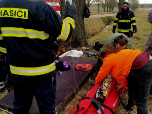 Problémová pejskařka havarovala na jihu Čech. Čtrnáct psů se rozuteklo do luk, jeden po nehodě zahynul