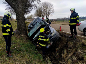 Problémová pejskařka havarovala na jihu Čech. Čtrnáct psů se rozuteklo do luk, jeden po nehodě zahynul